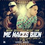 Nicky Jam Ft. Mega Sexxx - Me Haces Bien MP3